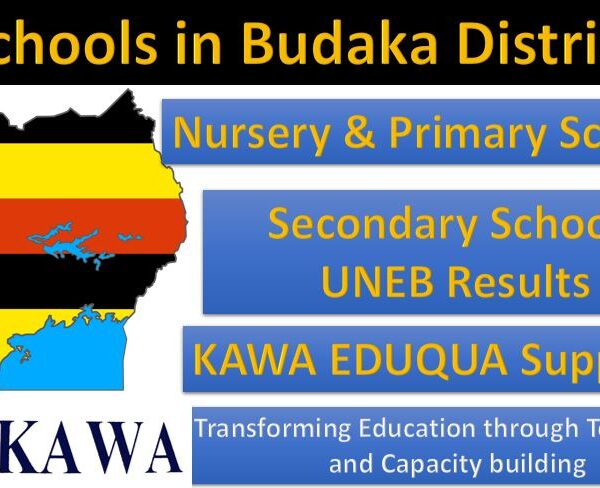 Top Schools in Budaka District 2020 UCE Results