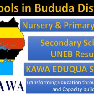 2020 Bududa District UCE Results Breakdown