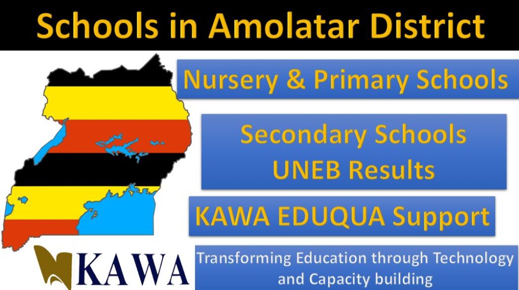 Top Schools in Amolatar District 2020 UCE Results