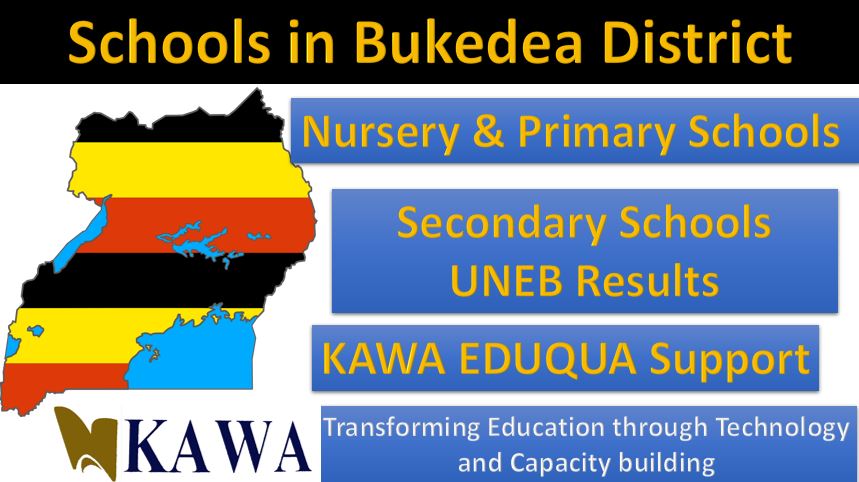 Top Schools in Bukedea District 2020 UCE Results