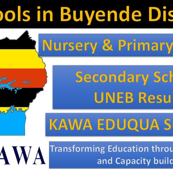 Top Schools in Buyende District 2020 UCE Results